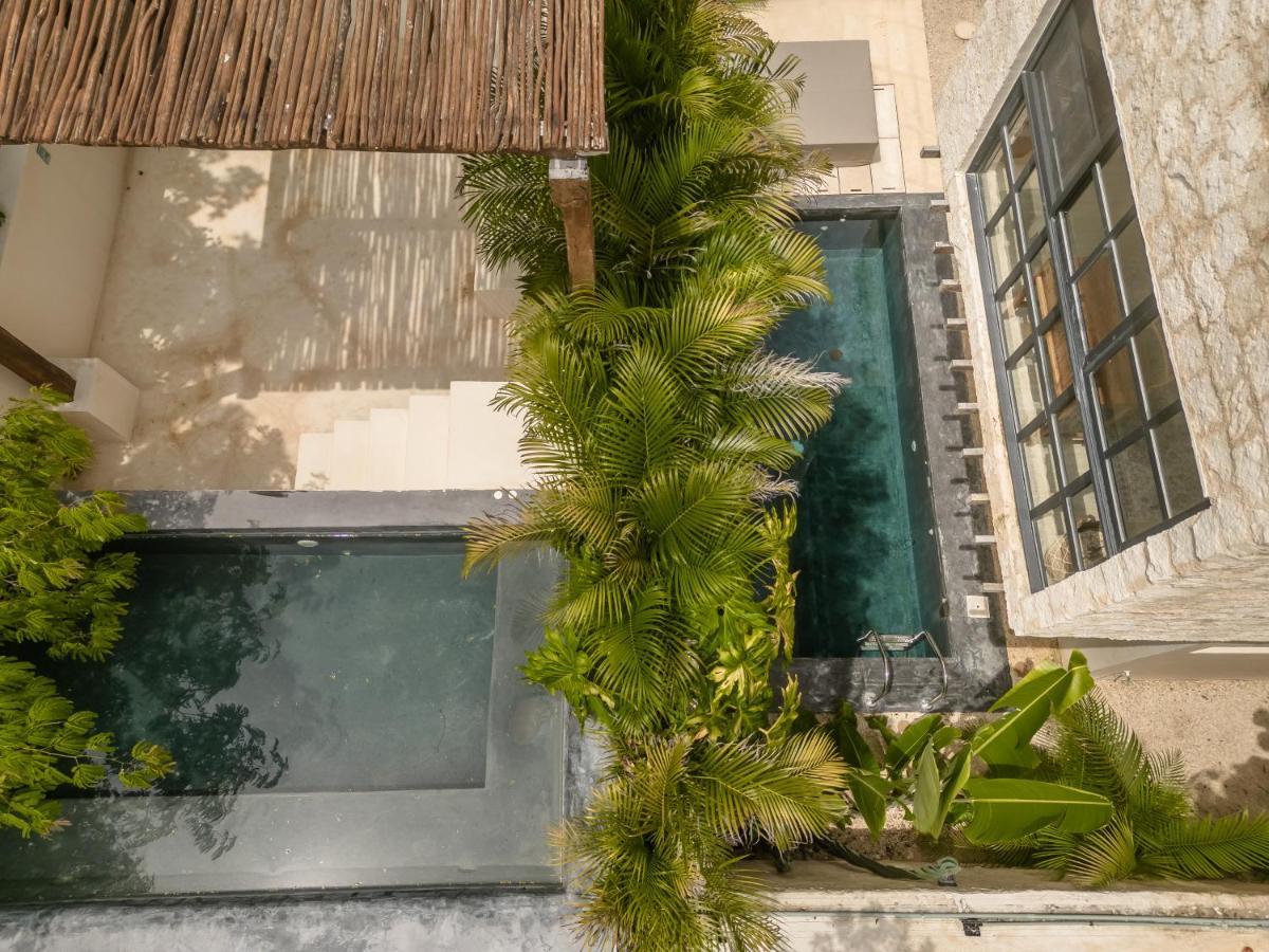 New Aura Jungle Getaway Villa Tulum Dış mekan fotoğraf