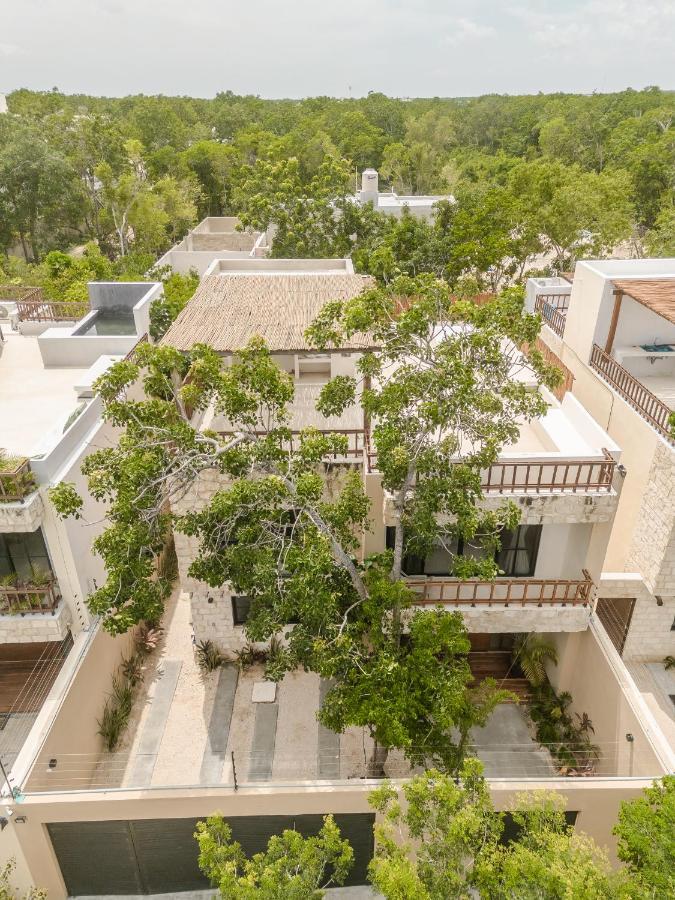 New Aura Jungle Getaway Villa Tulum Dış mekan fotoğraf
